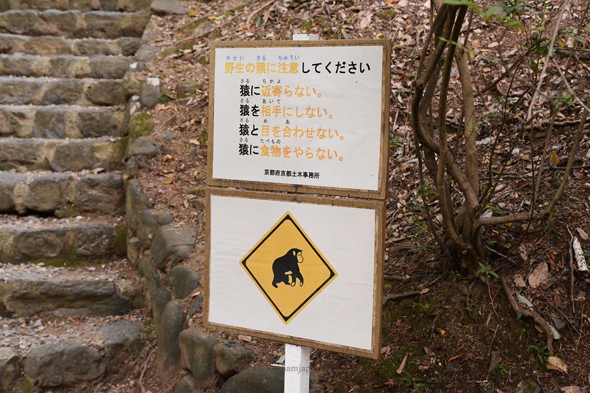 Znak ostrzegający przed małpami