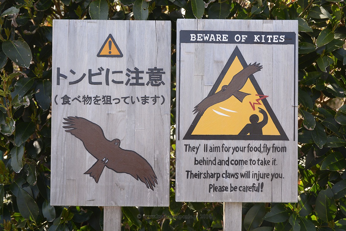 Znak ostrzegający przed Kaniami, Kamakura