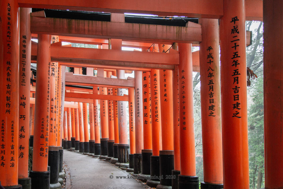 Tunele z bram torii