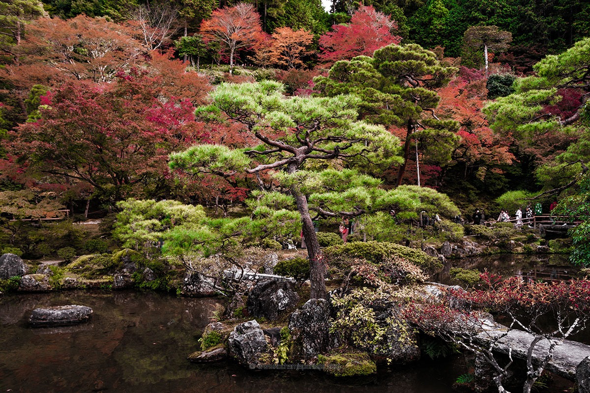 Ogród Ginkakuji